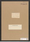Nitzschia delognei Grun. (de-Toni-Nr.: Genus 47, Species 2140) Zeichnungen Sammlung Grunow Nr. 4308 (NHMW-BOT-W0372332)